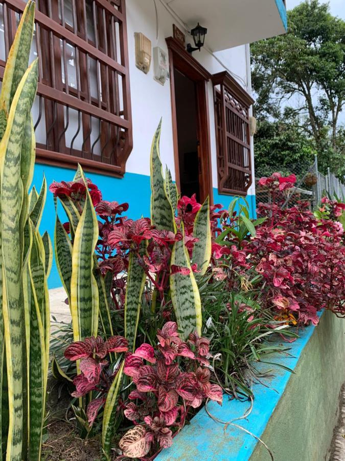 Casa Huespedes El Ensueno Hotel Jardin Exterior foto